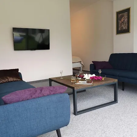 Penthouse Park Apartment